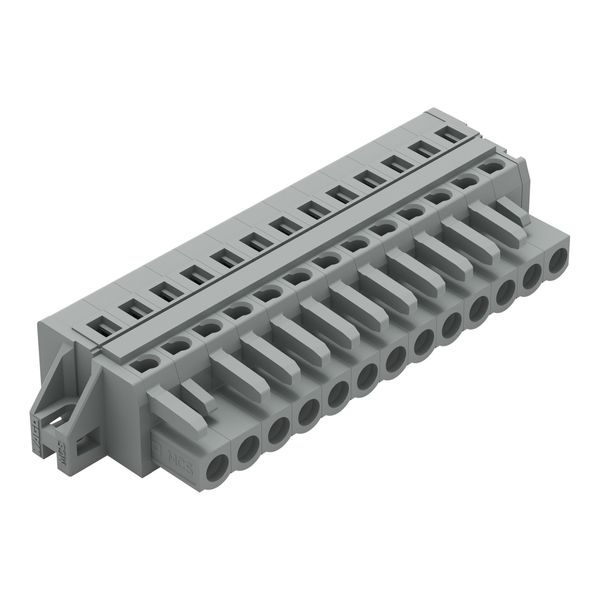 1-conductor female connector CAGE CLAMP® 2.5 mm² gray image 1