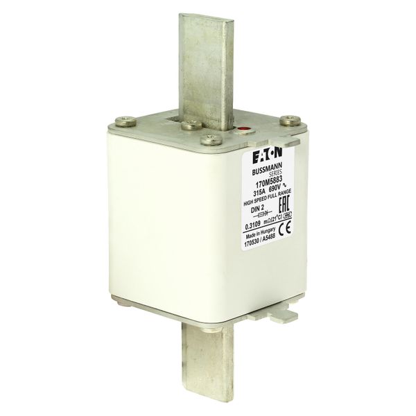 Fuse-link, high speed, 315 A, AC 690 V, DIN 2, 60 x 74 x 150 mm, gR, DIN, IEC, single indicator image 13