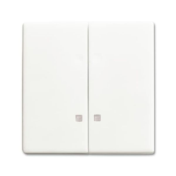 1785 K-884-500 Mechanical Controls None for Switch/push button, Two-part rocker studio white matt - 63x63 image 4