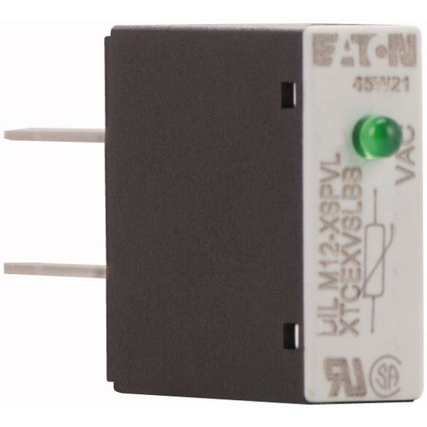 Varistor suppressor circuit, +LED, 24 - 48 AC V, For use with: DILM7 - DILM15, DILMP20, DILA image 4