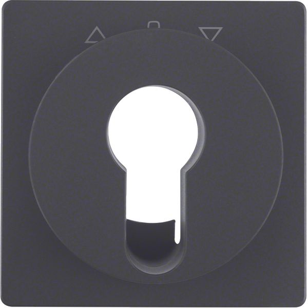 Centre plate f. key push-button f. blinds/key switch, Q.1/Q.3, ant.vel image 1