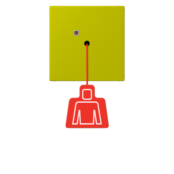 Pull cord push-button LC4320F NRSLC0834ZT249 image 1