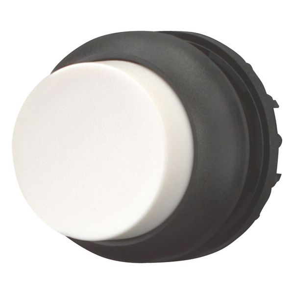 Pushbutton, RMQ-Titan, Extended, momentary, White, Blank, Bezel: black image 6