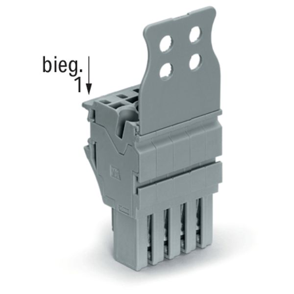 1-conductor female connector Push-in CAGE CLAMP® 4 mm² gray image 3