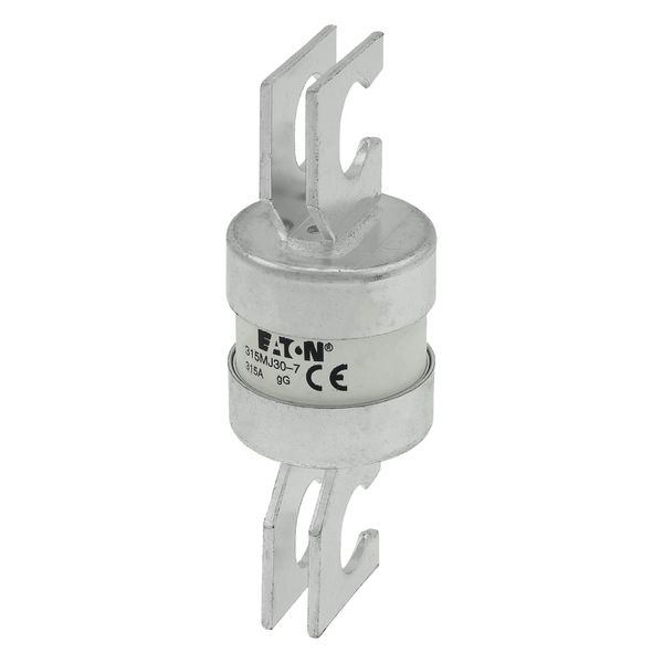 Utility fuse-link, LV, 315 A, AC 415 V, BS88/J, 38 x 110 mm, gL/gG, BS, 82mm fixing centres image 17