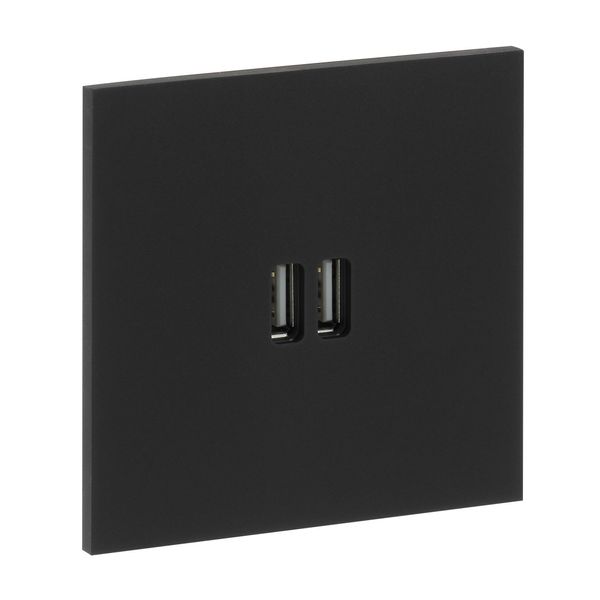 67822 Art d'Arnould universe Epure dual USB socket 3A - matte black image 1