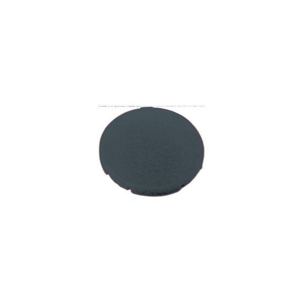 Button plate, flat black, blank image 3