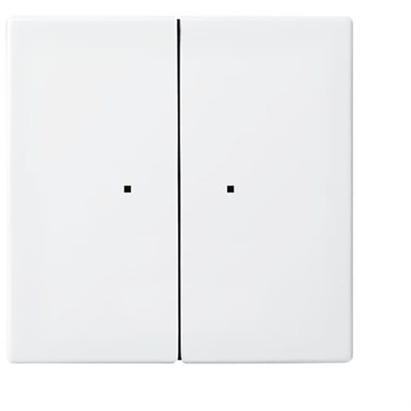 6732-914 CoverPlates (partly incl. Insert) Busch-balance® SI Alpine white image 1