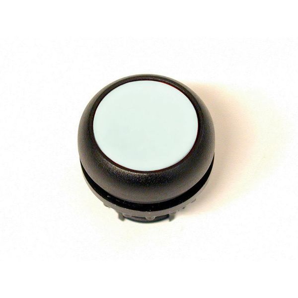 Pushbutton, RMQ-Titan, Flat, maintained, Without button plate, Bezel: black image 3