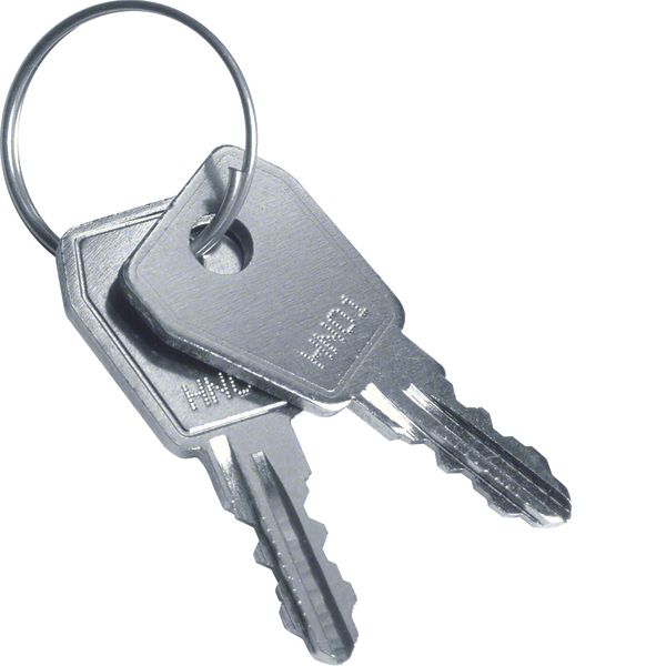 Spare key,Volta,for lock VZ302N image 1