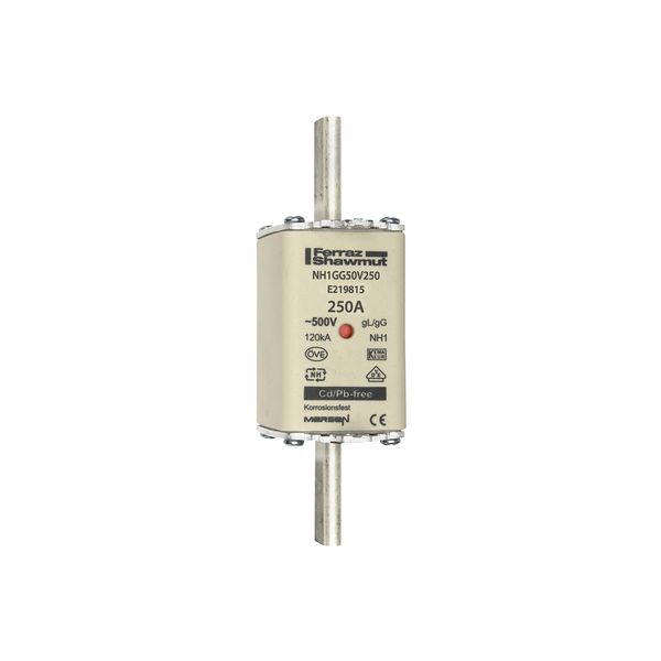 Fuse-link NH1 gG 500VAC 250A live tags Double indicator image 1