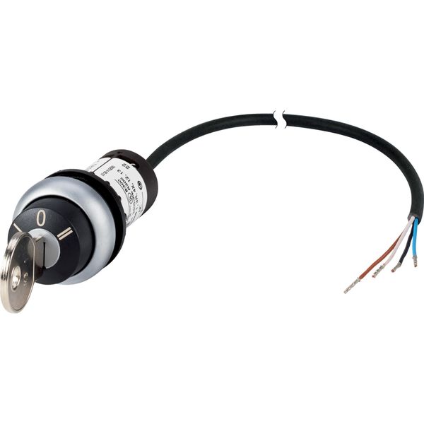 Key-operated actuator, RMQ compact solution, momentary, 2 N/O, Cable (black) with non-terminated end, 4 pole, 1 m, 3 positions, MS1, Bezel: titanium image 4