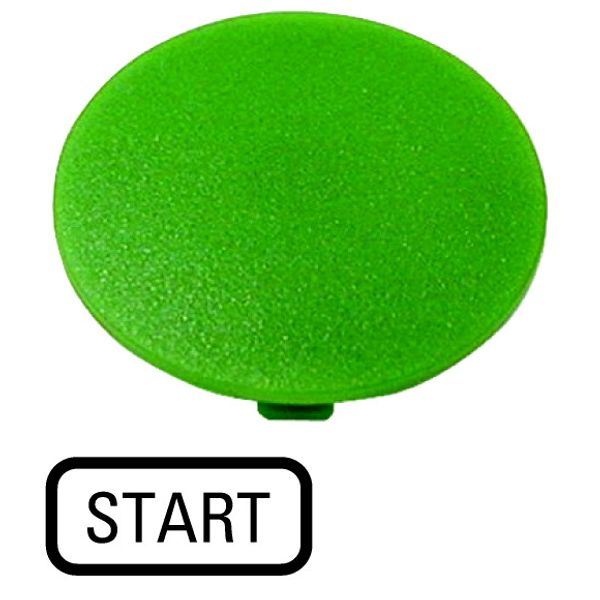 Button plate, mushroom green, START image 1