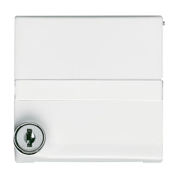 2118 GKSLN-34 CoverPlates (partly incl. Insert) Flush-mounted, water-protected, special connecting devices Alpine white image 2
