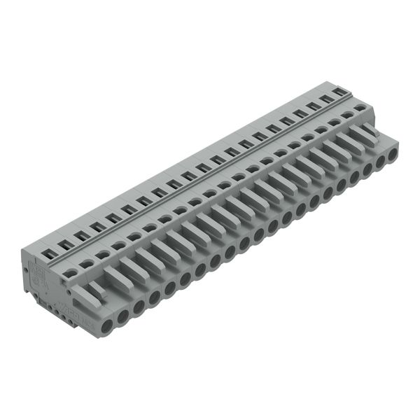 1-conductor female connector CAGE CLAMP® 2.5 mm² gray image 1