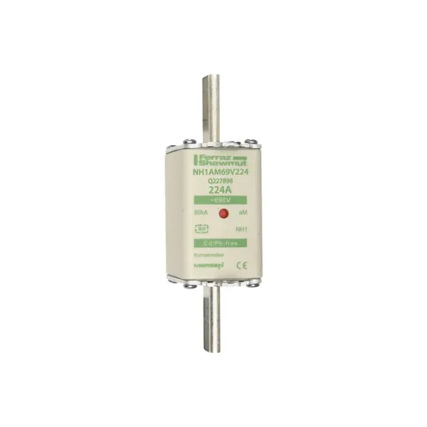 Fuse-link NH1 aM 690VAC 224A live tags Double indicator image 2