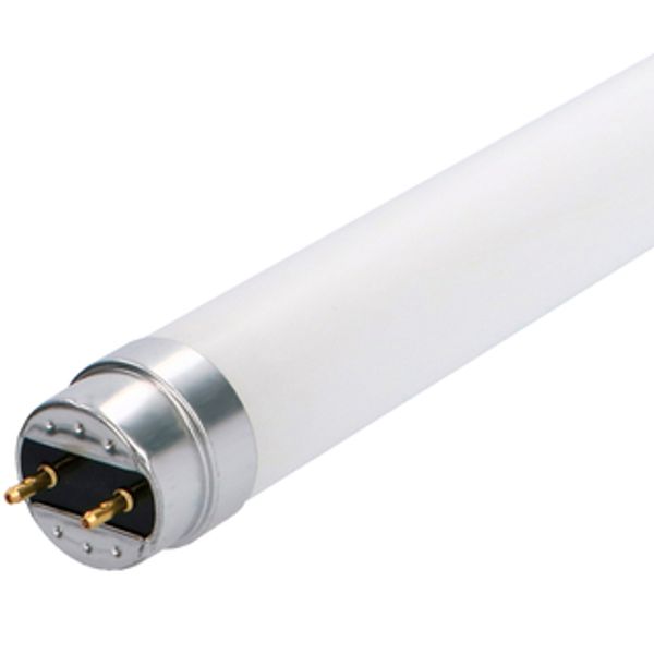 LED TL Tube - T8 150cm G13 20.5W 3100lm 4000K Opal 190°  image 1