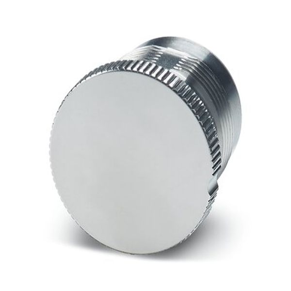 Metal protective cap image 1