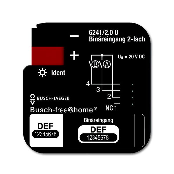 6241/2.0 U Binary Input, 2-fold, FM, BJE image 1