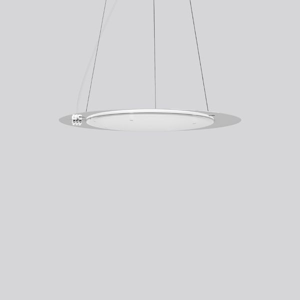 FLATLINER SLIM, 38 W, 2750 lm, 830, white, DALI Pendant luminaires, D  image 1