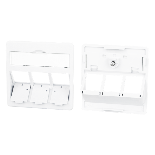 Central plate 50 x 50 mm 3 port, traffic white, modul image 3