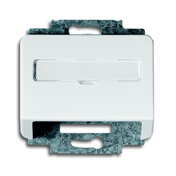 1758-24G CoverPlates (partly incl. Insert) carat® Studio white image 1