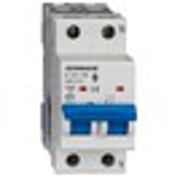 Miniature Circuit Breaker (MCB) AMPARO 10kA, C 10A, 1+N image 8