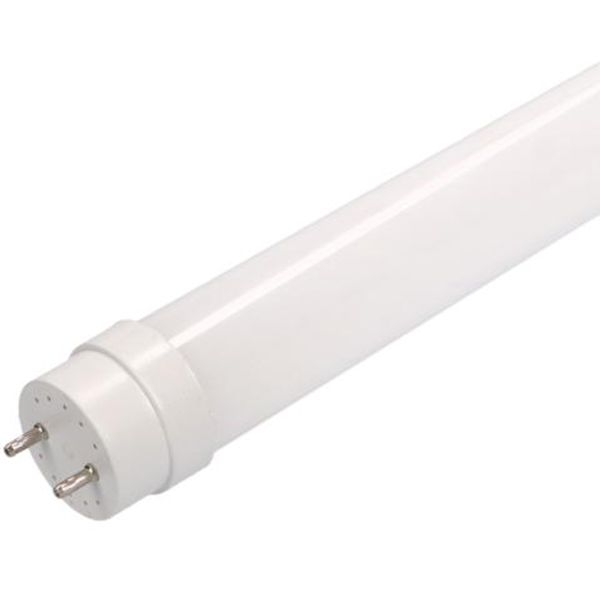 LED TL Tube - T8 60cm 9W 900lm 6500K 260° image 1