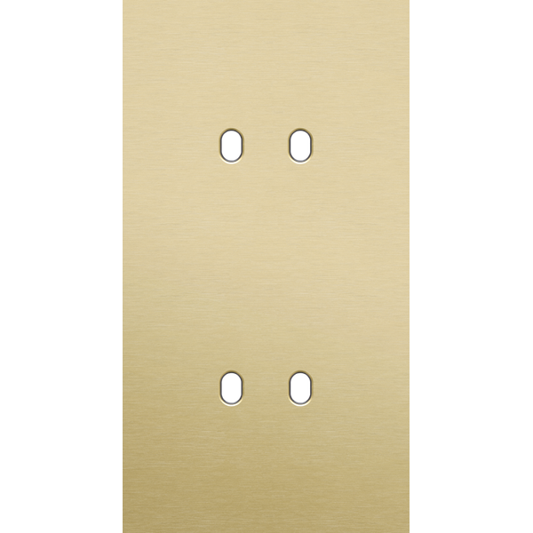 Twofold faceplate, vertical 71 mm centre distance, for double switch f image 1