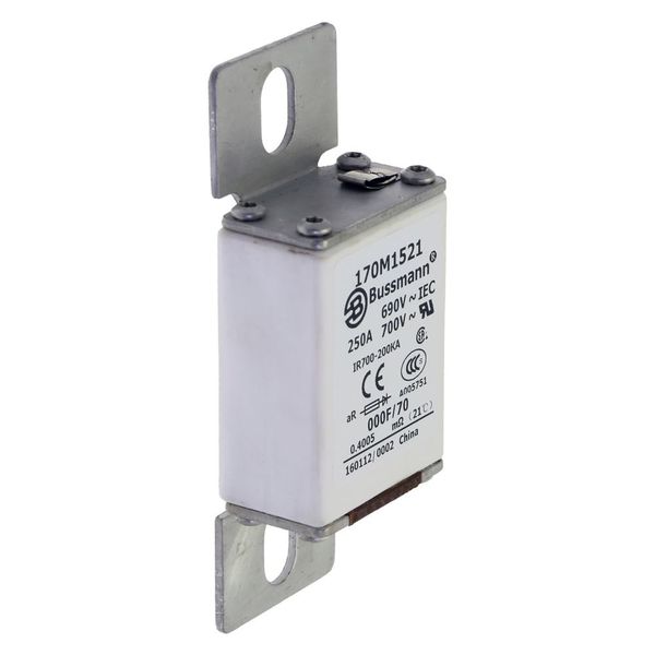 Fuse-link, high speed, 250 A, AC 690 V, size 000, 24 x 36 x 96 mm, aR, IEC, visual indicator image 9