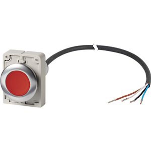 Illuminated pushbutton actuator, Flat, momentary, 1 NC, Cable (black) with non-terminated end, 4 pole, 1 m, LED Red, red, Blank, 24 V AC/DC, Metal bez image 2