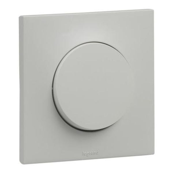 10AX Urbano switch gray finish image 1