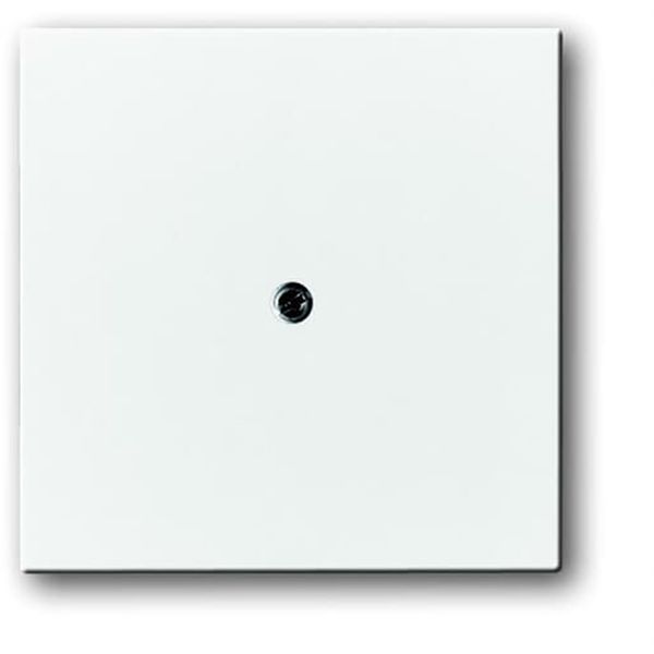 1745-84 CoverPlates (partly incl. Insert) future®, Busch-axcent®, solo®; carat® Studio white image 1