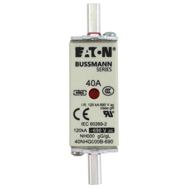 Fuse-link, LV, 40 A, AC 690 V, NH000, gL/gG, IEC, dual indicator, live gripping lugs image 22