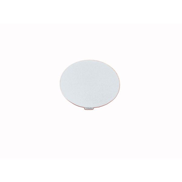 Button plate, mushroom white, blank image 1