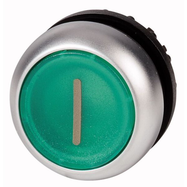 Illuminated pushbutton actuator, RMQ-Titan, Flush, momentary, green, inscribed, Bezel: titanium image 1