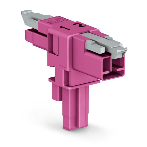 T-distribution connector 2-pole Cod. B pink image 1