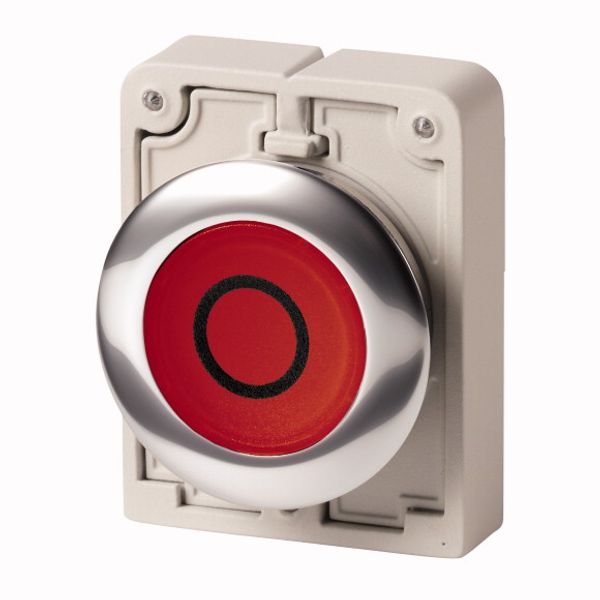 Illuminated pushbutton actuator, RMQ-Titan, Flat, maintained, red, inscribed, Metal bezel image 1