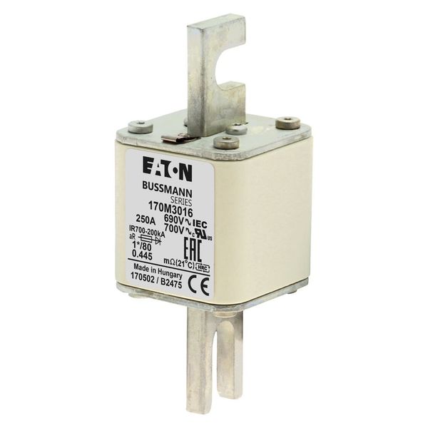 Fuse-link, high speed, 250 A, AC 690 V, compact DIN 1, 45 x 45 x 104 mm, aR, DIN, IEC, single indicator image 6