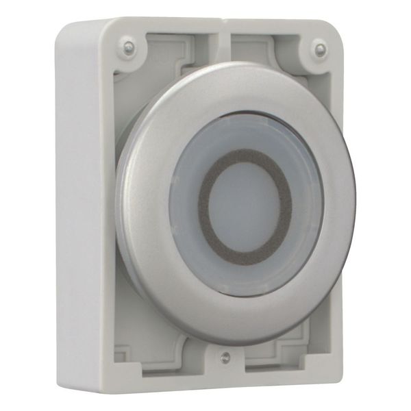 Illuminated pushbutton actuator, RMQ-Titan, Flat, maintained, White, inscribed 0, Metal bezel image 13