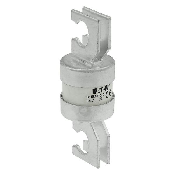 Utility fuse-link, LV, 315 A, AC 415 V, BS88/J, 38 x 110 mm, gL/gG, BS, 82mm fixing centres image 35