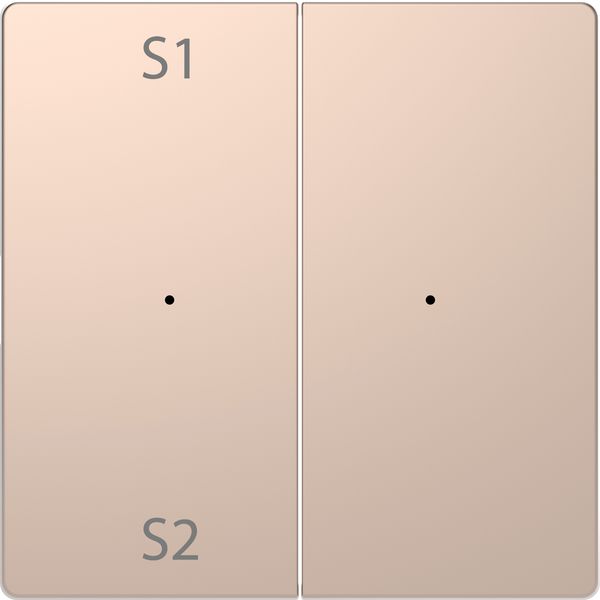 Rocker PB mod.2g(S1/S2+blank)chm SDsg image 1