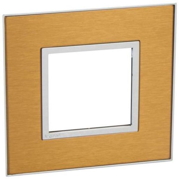 Plate Arteor - French/German std - square - 2 modules - gold brass image 1