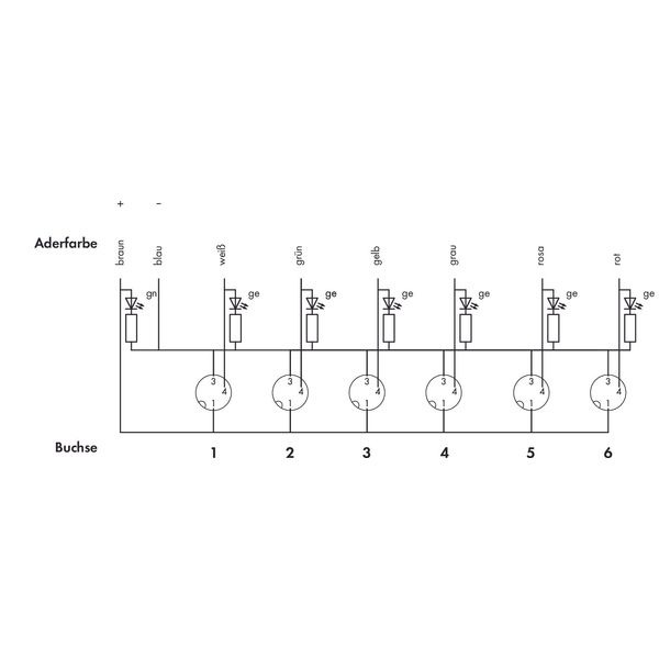 M8 sensor/actuator box 6-way 3-pole image 4