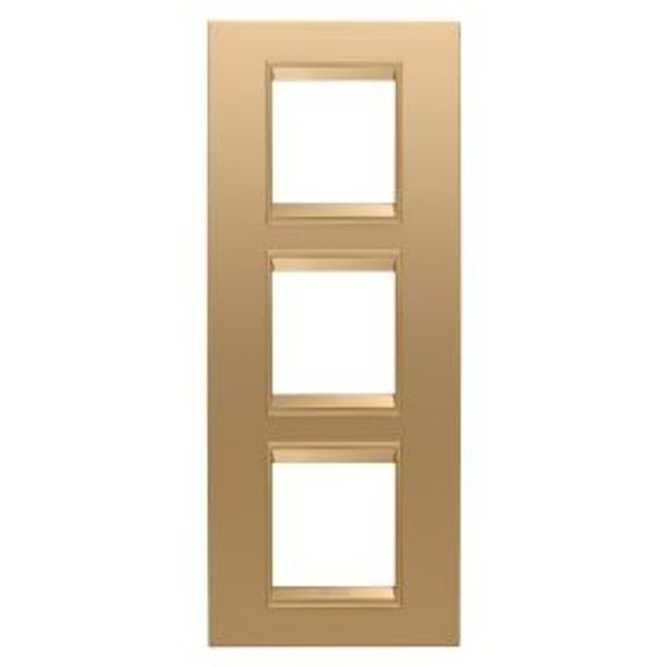 LUX INTERNATIONAL PLATE - IN METAL - 2+2+2 MODULES VERTICAL - GOLD  - INNER FRAME MATT GOLD - CHORUSMART image 1