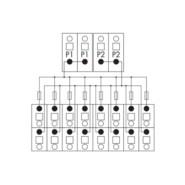 830-800/000-319 Potential distribution module; 2 potentials; with 2 input clamping points each image 6