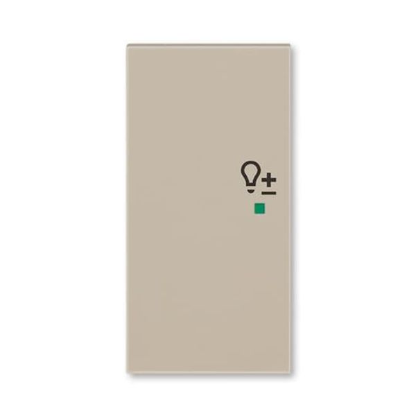 6220H-A02104 18 Rocker, 2gang left, with “Dimmer” icon image 1