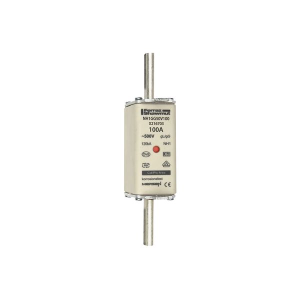 Fuse-link NH1 gG 500VAC 100A live tags Double indicator image 1