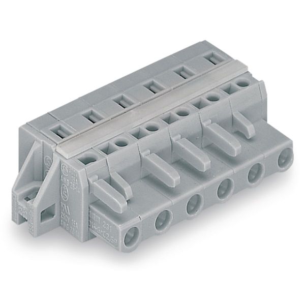 1-conductor female connector CAGE CLAMP® 2.5 mm² gray image 3