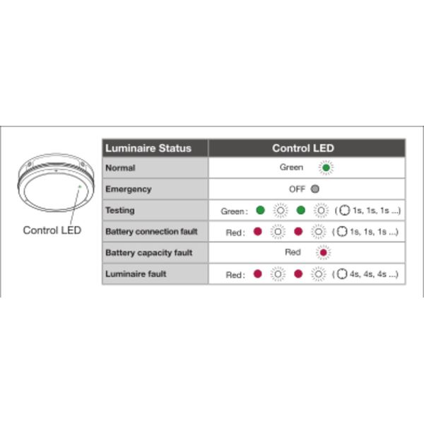 SURFACE BULKHEAD 300 EMERGENCY 15W 840 BK IP65 image 5